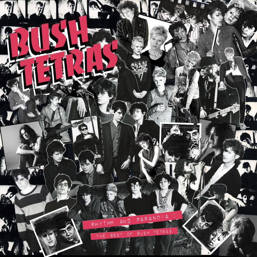 Rhythm & Paranoia: The Best Of Bush Tetras [CD]