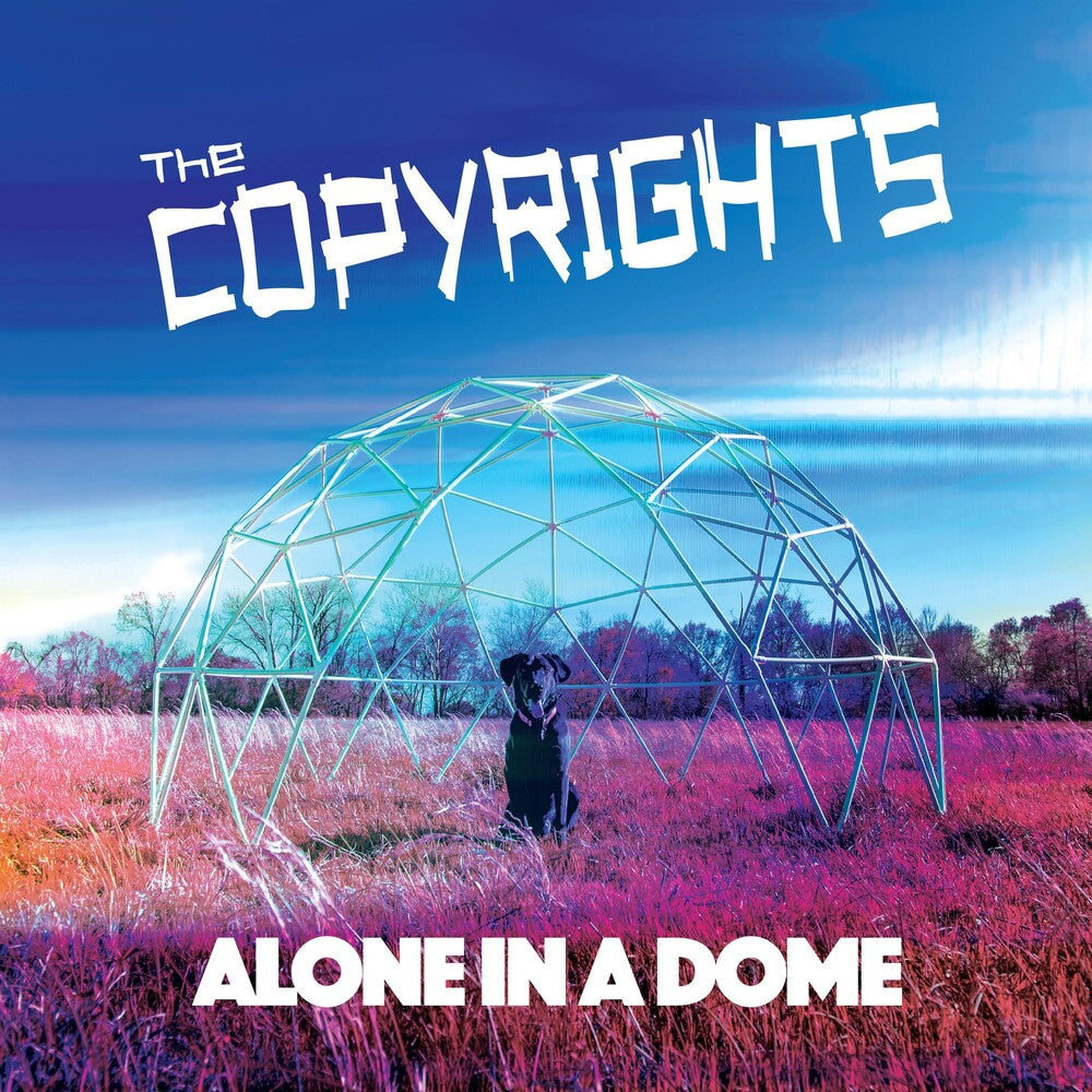 Alone In A Dome [CD]