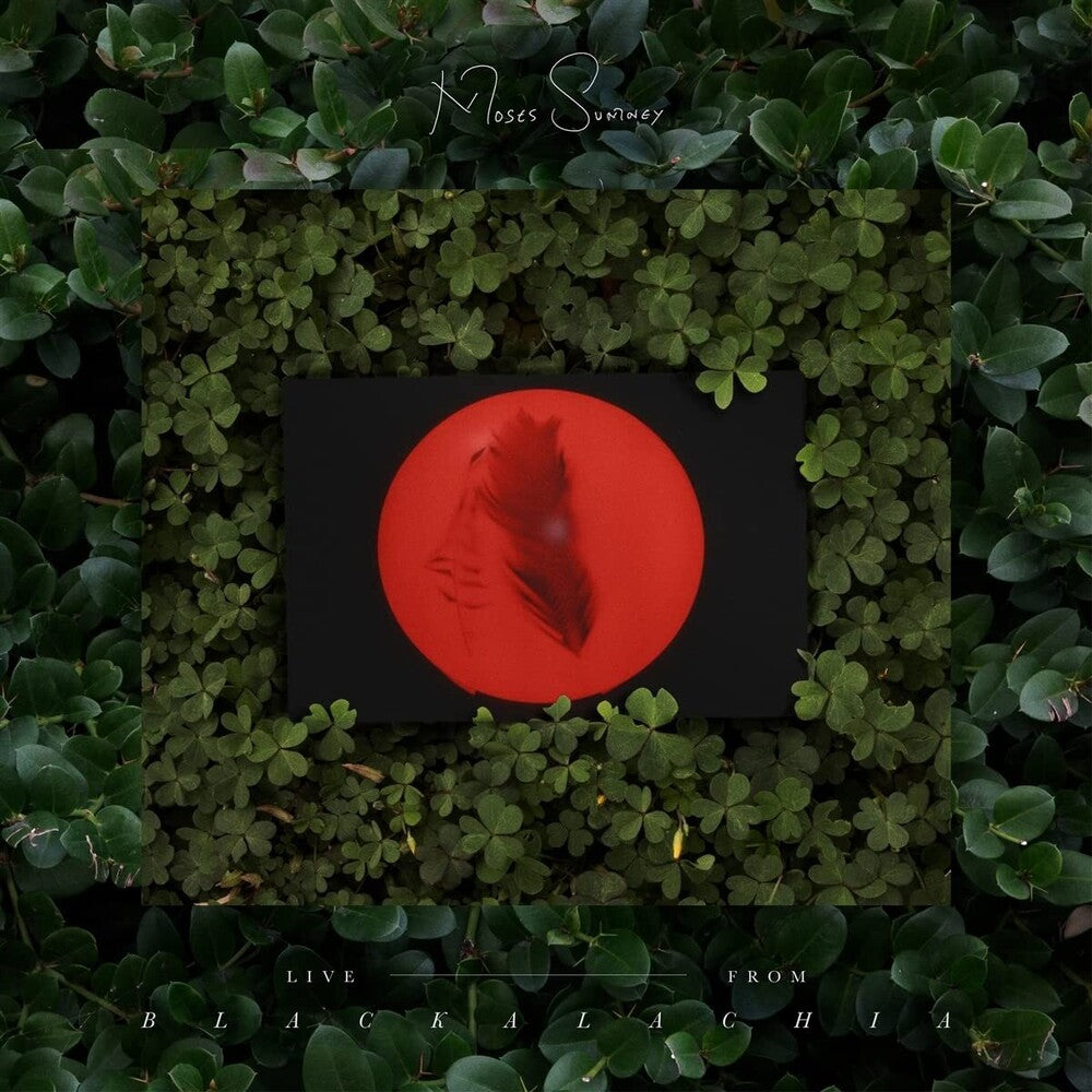 Live From Blackalachia [2LP]