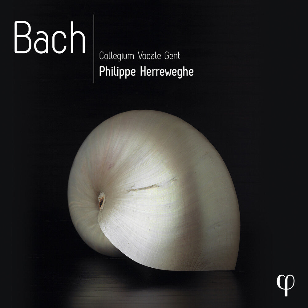 Bach (Box) [CD]