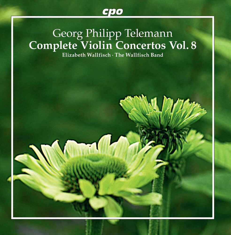 Complete Violin Conc [CD]
