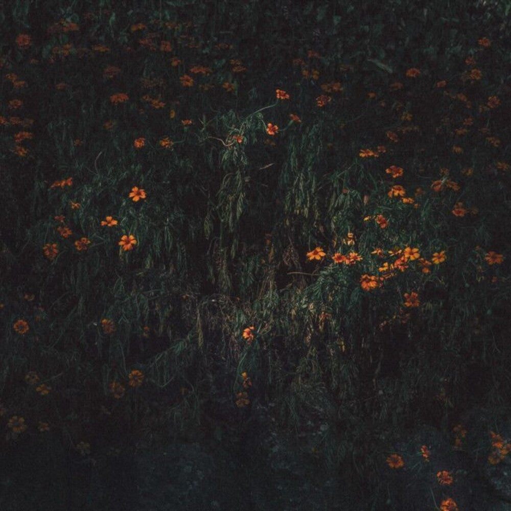Estarantos [LP]