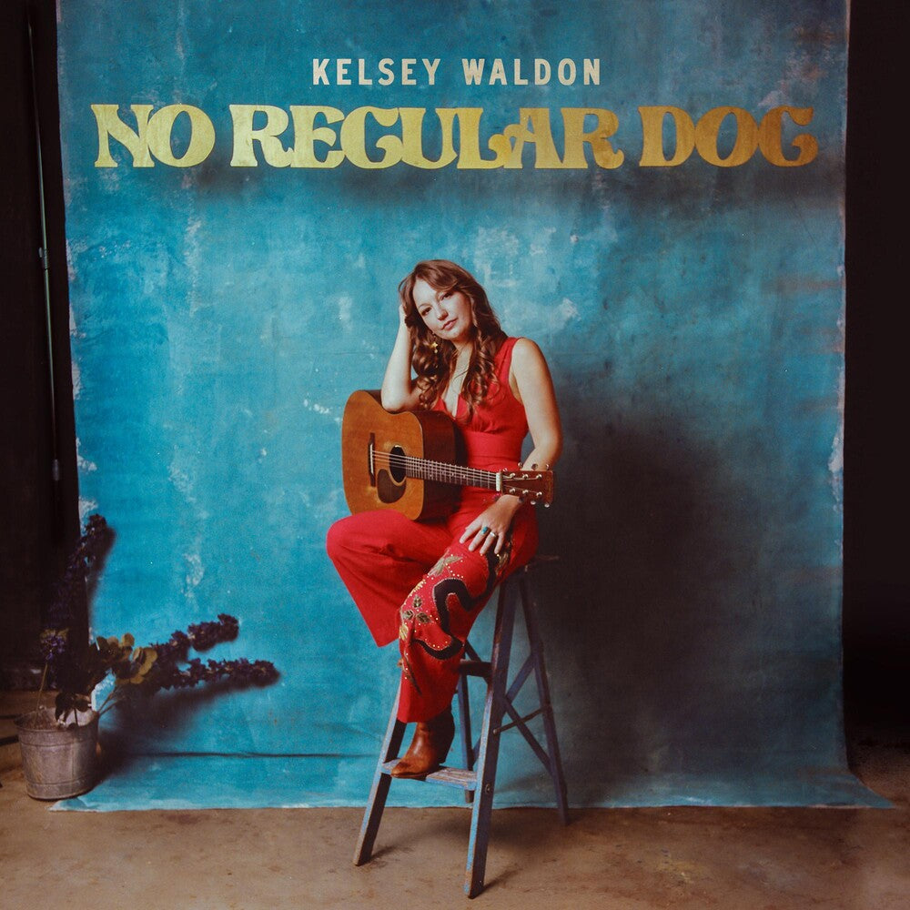 No Regular Dog [CD]