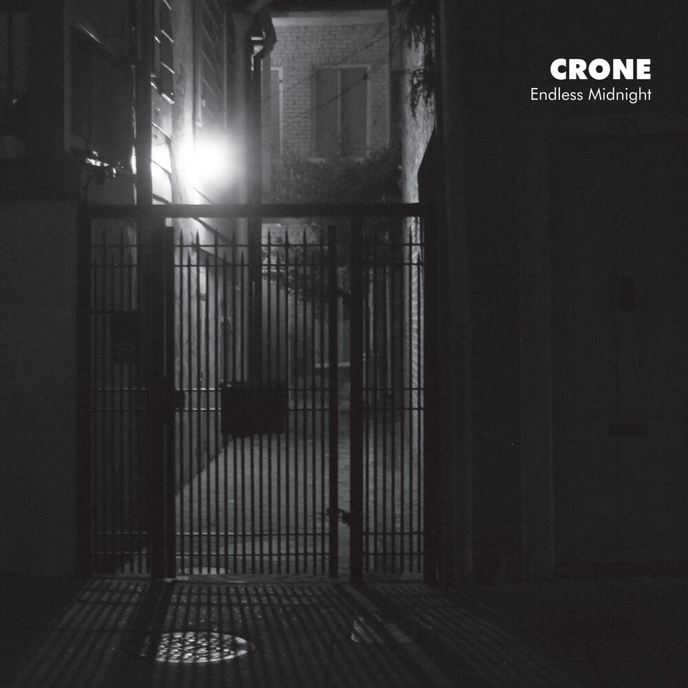 Endless Midnight [LP]
