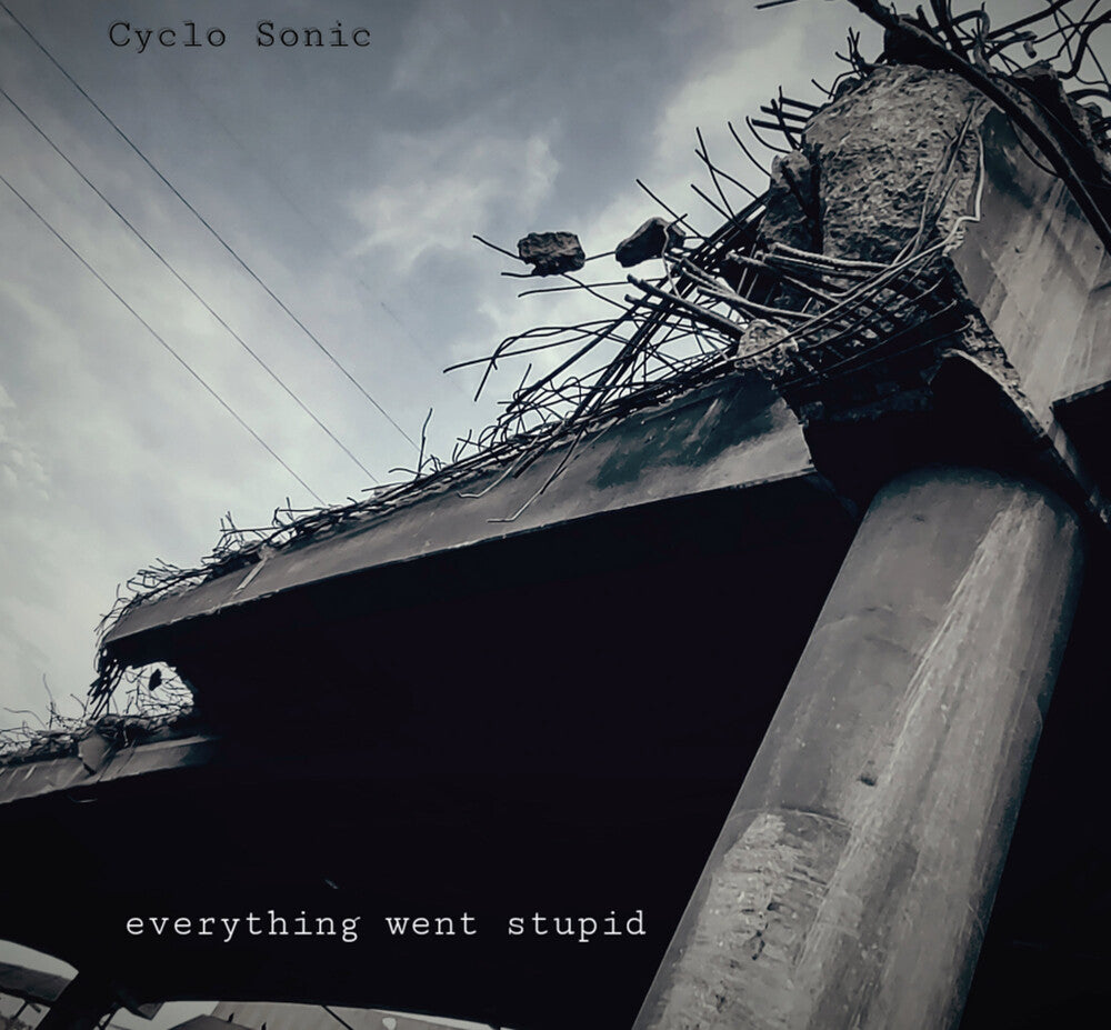 Everything Went Stupid [LP]