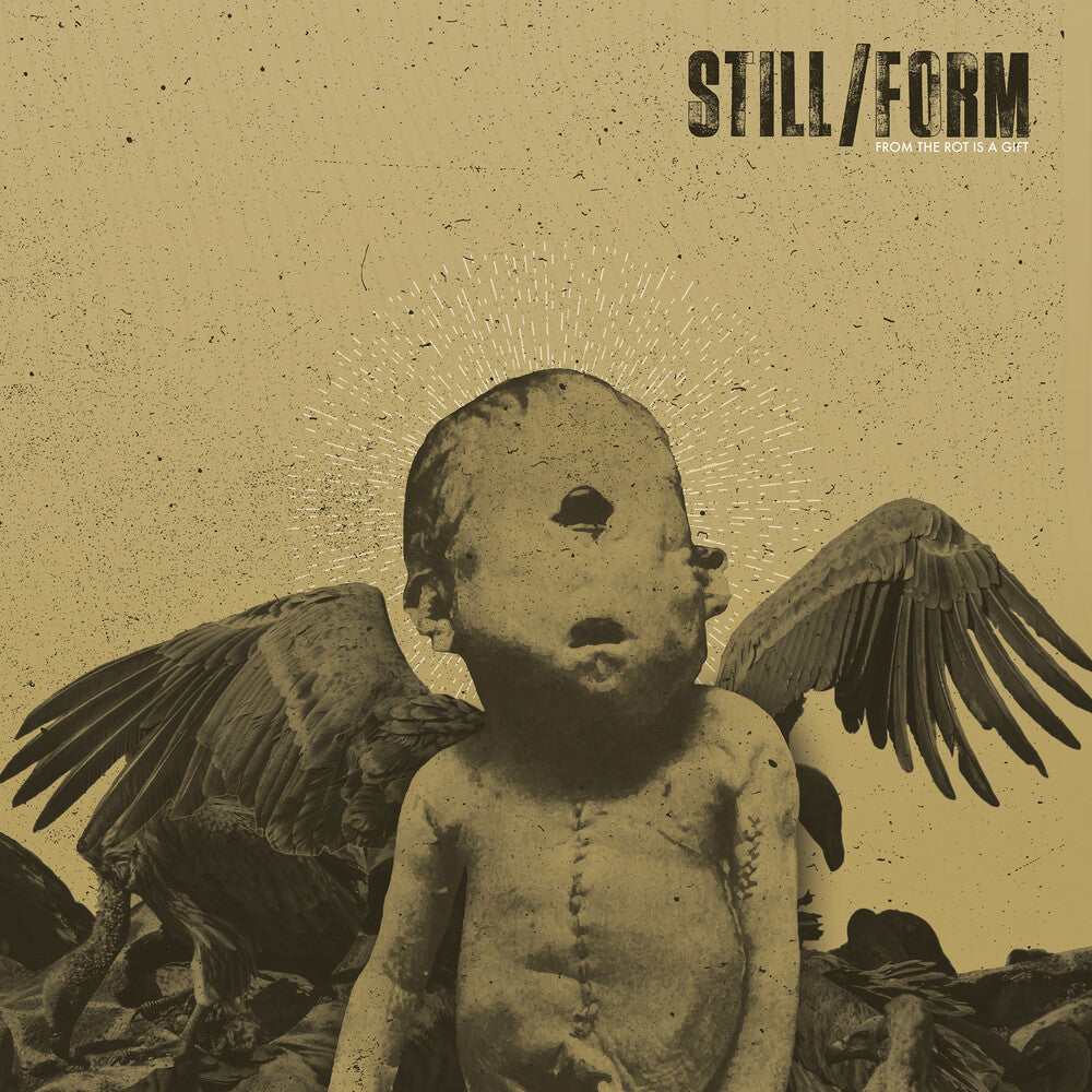 From The Rot Is A Gift [LP]