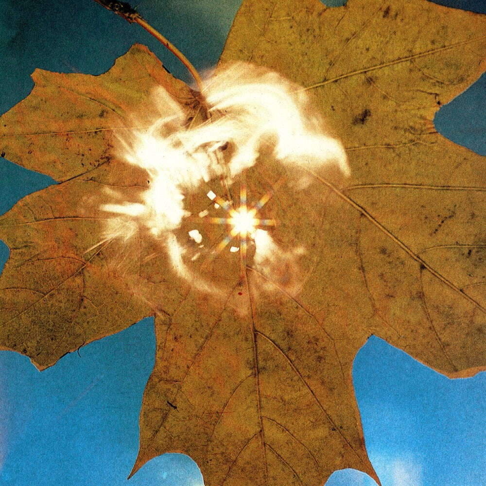 Force Of The Wind [CD]