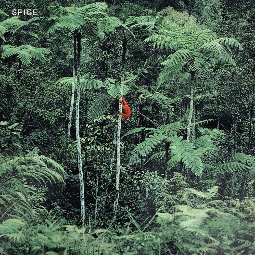 Spice - Grey [Colored Vinyl] (Gry)