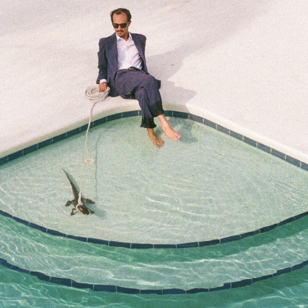 Days In The Summer [LP]