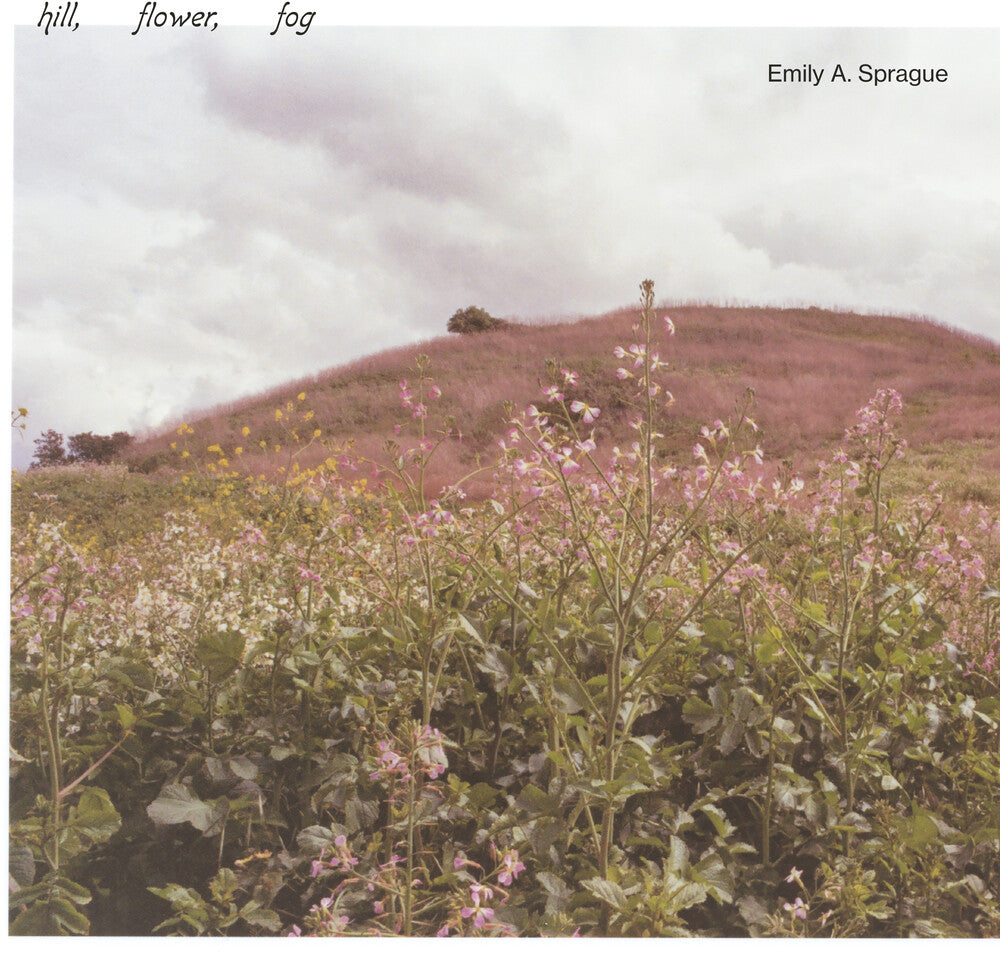 Hill, Flower, Fog - Foggy White [LP]