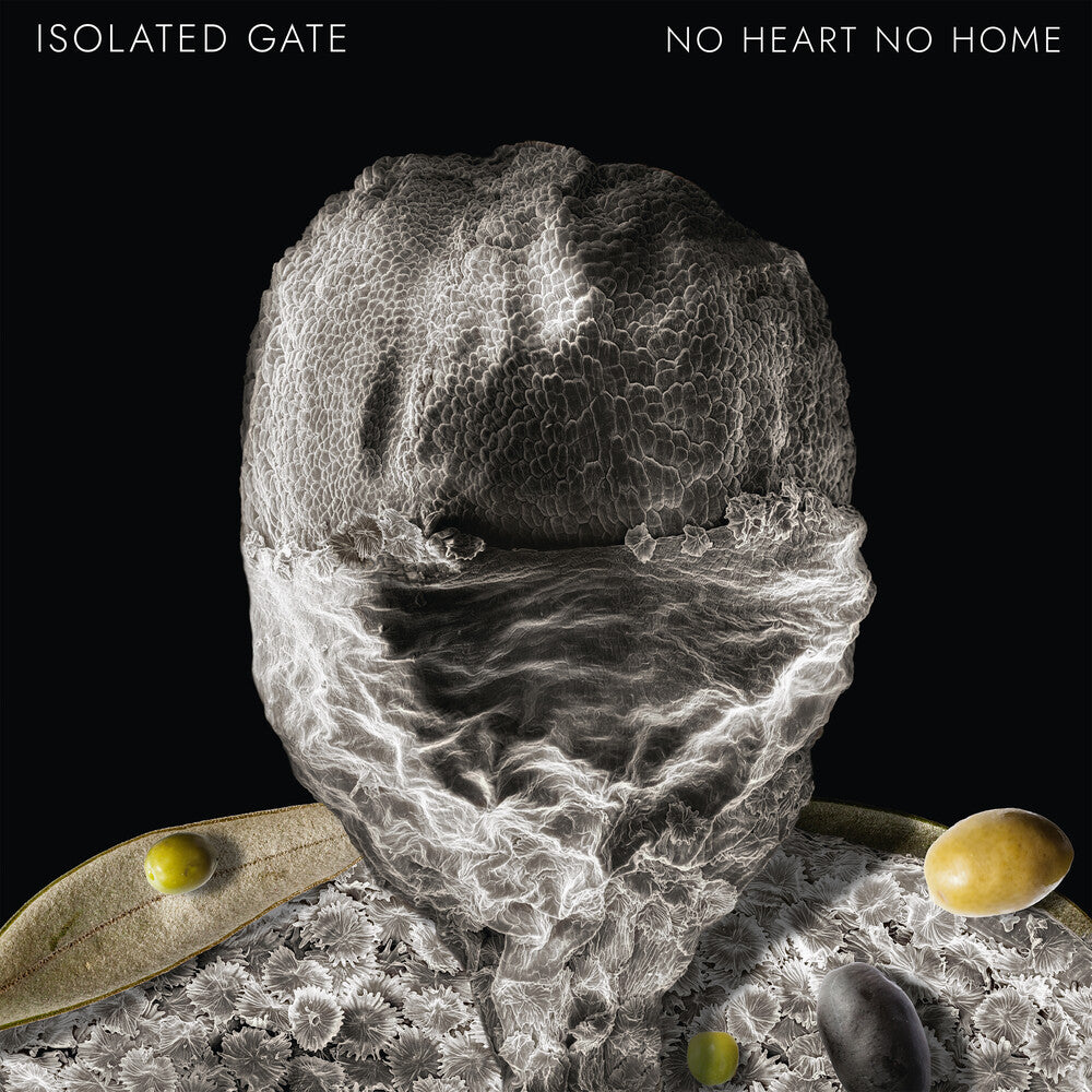 No Heart No Home (Ep) [Limited Edition]