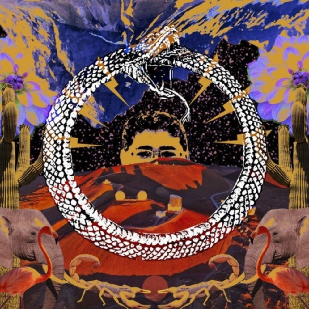 Neverending Cycle [LP]