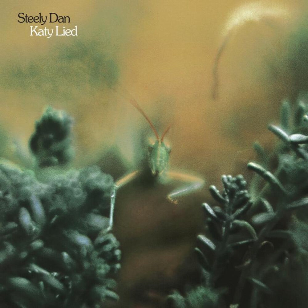Katy Lied [CD] (ONLINE ORDER ONLY)