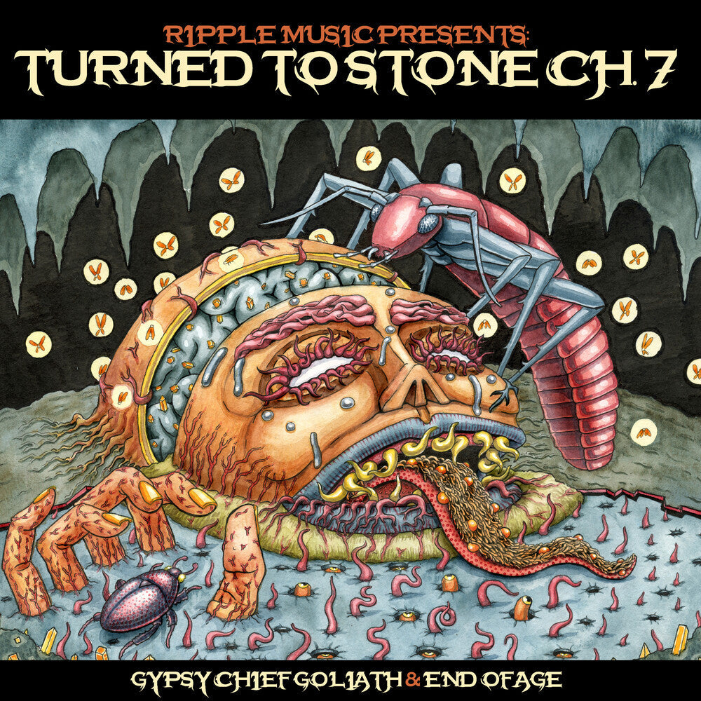 Turned To Stone: Chapter 7 [LP]