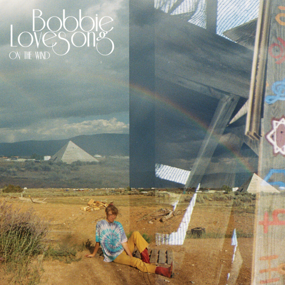 On The Wind [LP]