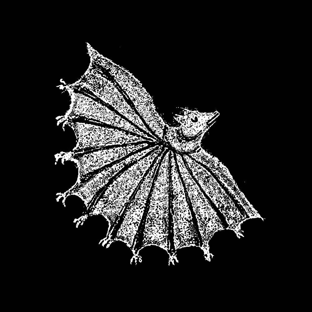Ignore Grief [Silver Ghost LP]