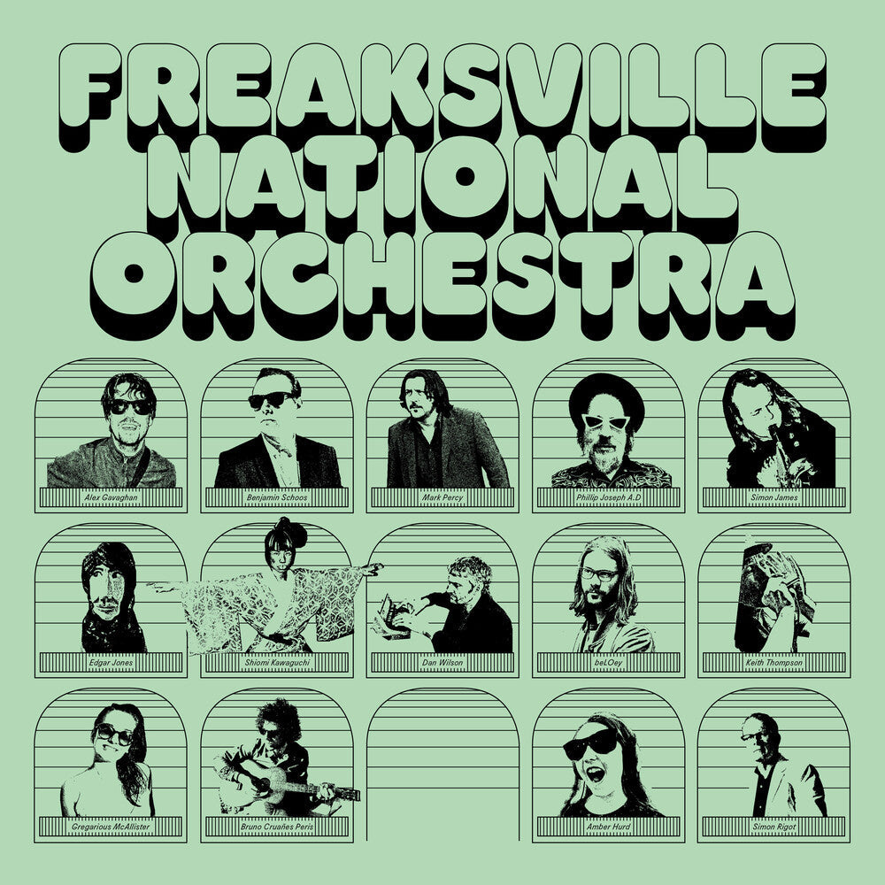 Freaksville National Orchestra [LP]