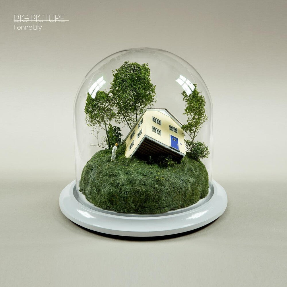 Big Picture [Ultramarine LP]