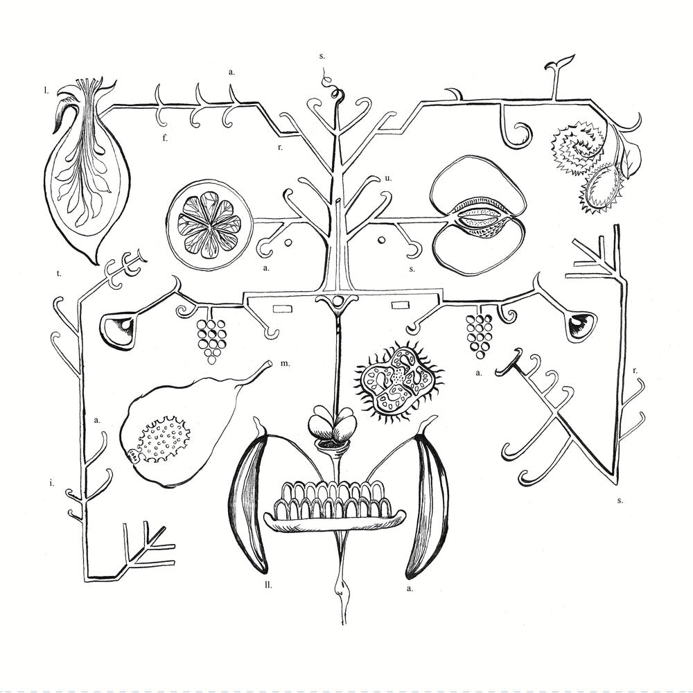 Las Frutas Amarilla [LP]