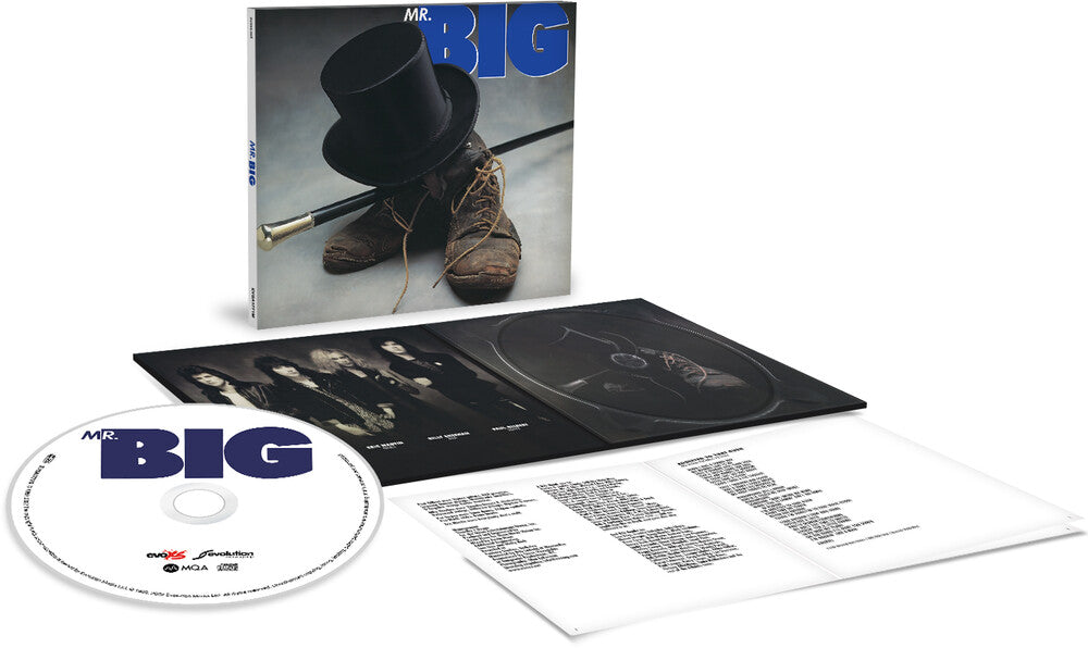 Mr.Big (Mqa-Cd) [CD]