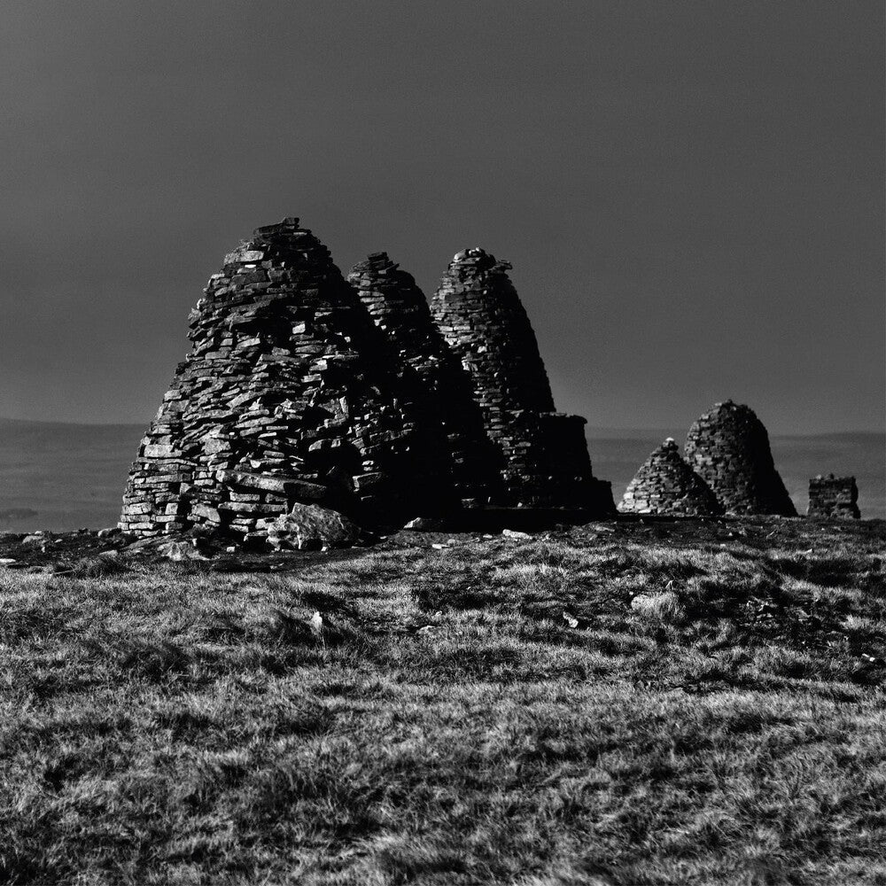 Standers [LP]