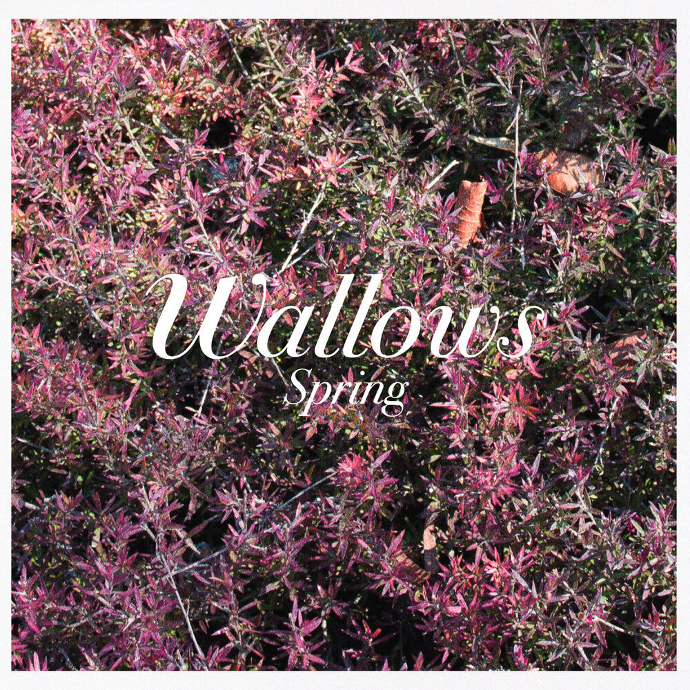 Spring (Mod) [CD]
