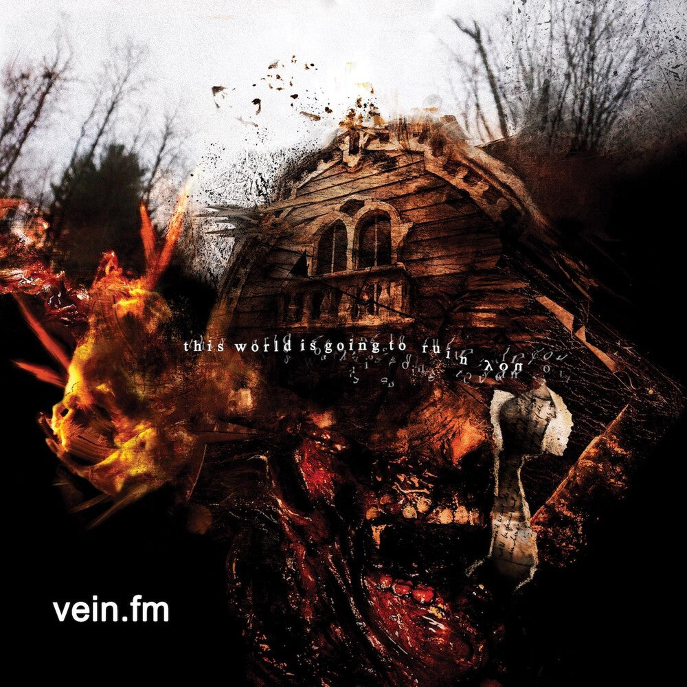 This World Is Going To Ruin You [LP]