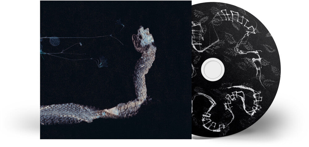 Maaaet [Digipak]