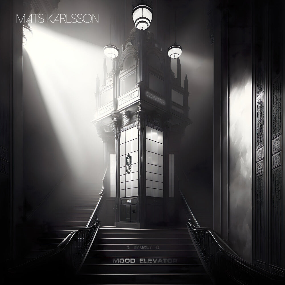 Mood Elevator [LP]
