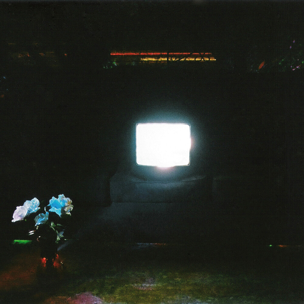 Does It Look Like I'm Here? [2LP]