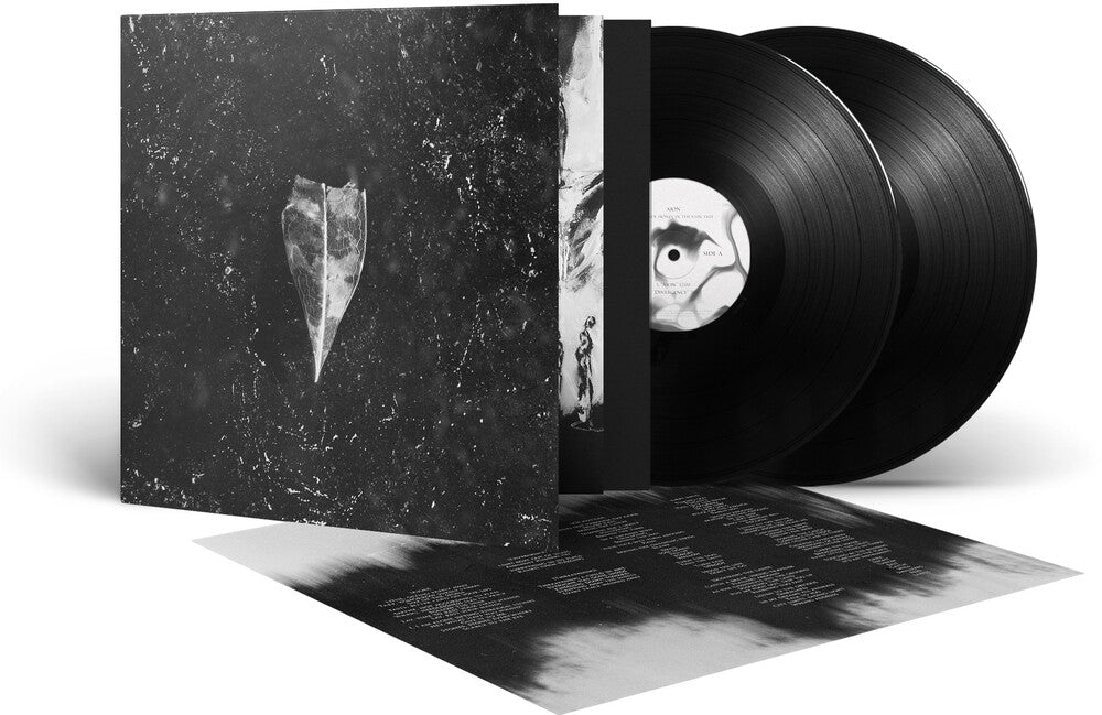 Aion (Gate) [LP]