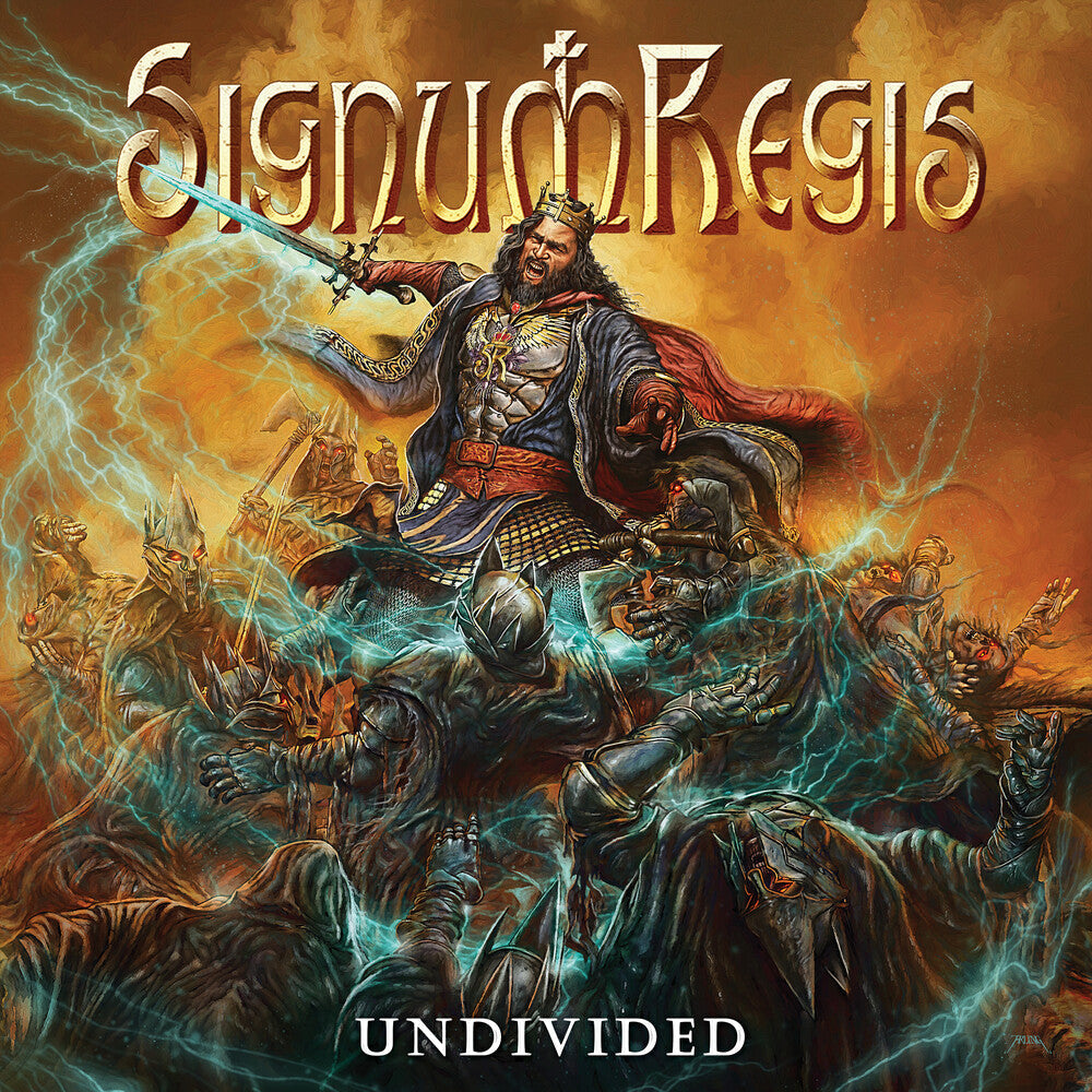 Undivided [LP]