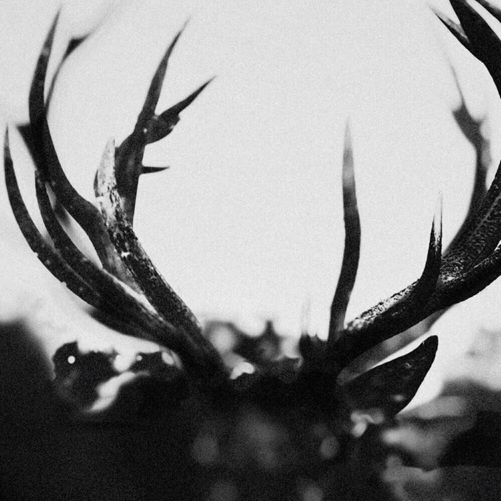 Ihsahn [CD]