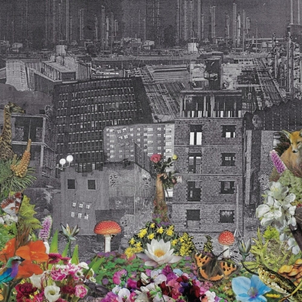 Perpetual Eden (Can) [LP]