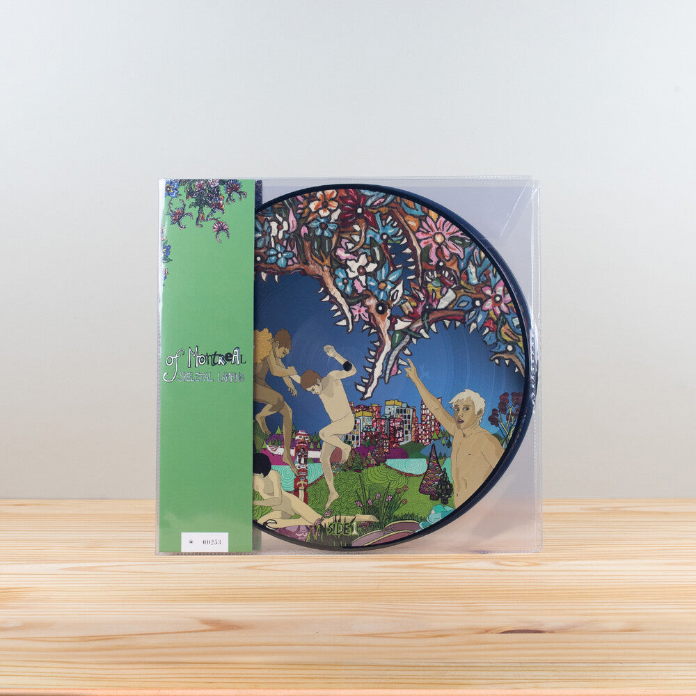 Skeletal Lamping (Gate) [Limited Edition] (Pict) [Reissue]