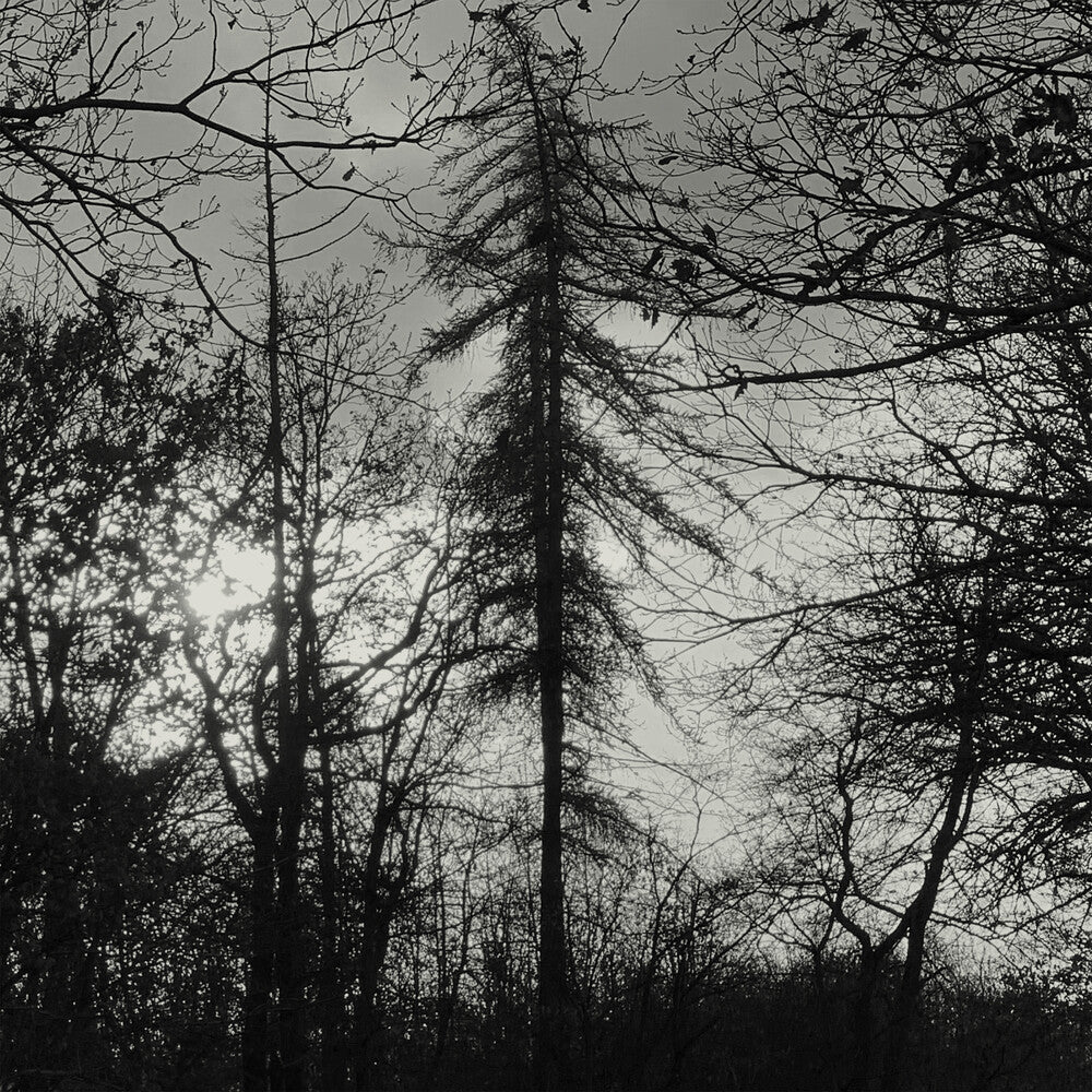 Feral Earth [LP]