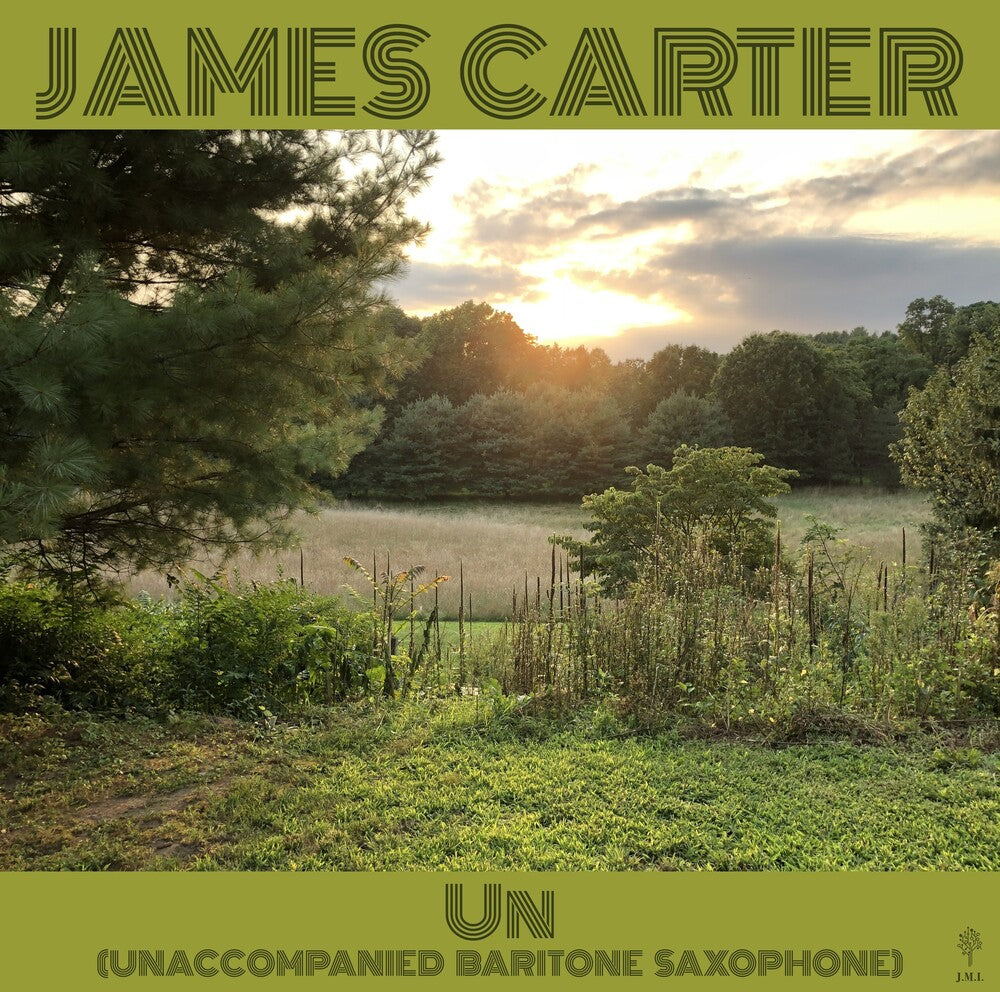 Un (Unaccompanied Baritone Saxophone) (Gate) [LP]