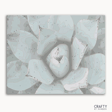 Succulent (ONLINE ORDER ONLY)