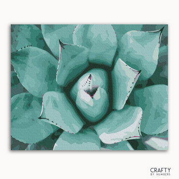 Succulent (ONLINE ORDER ONLY)