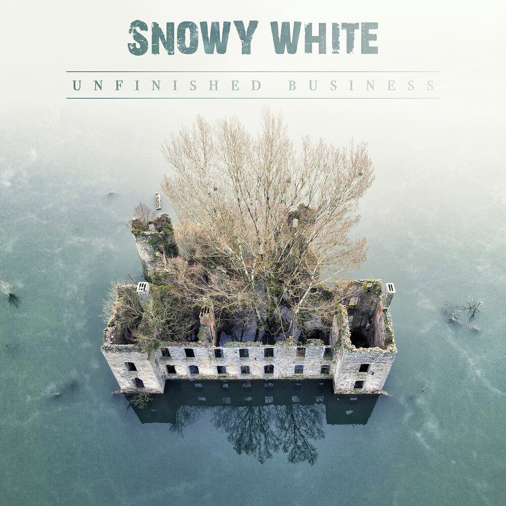 Unfinished Business [CD]