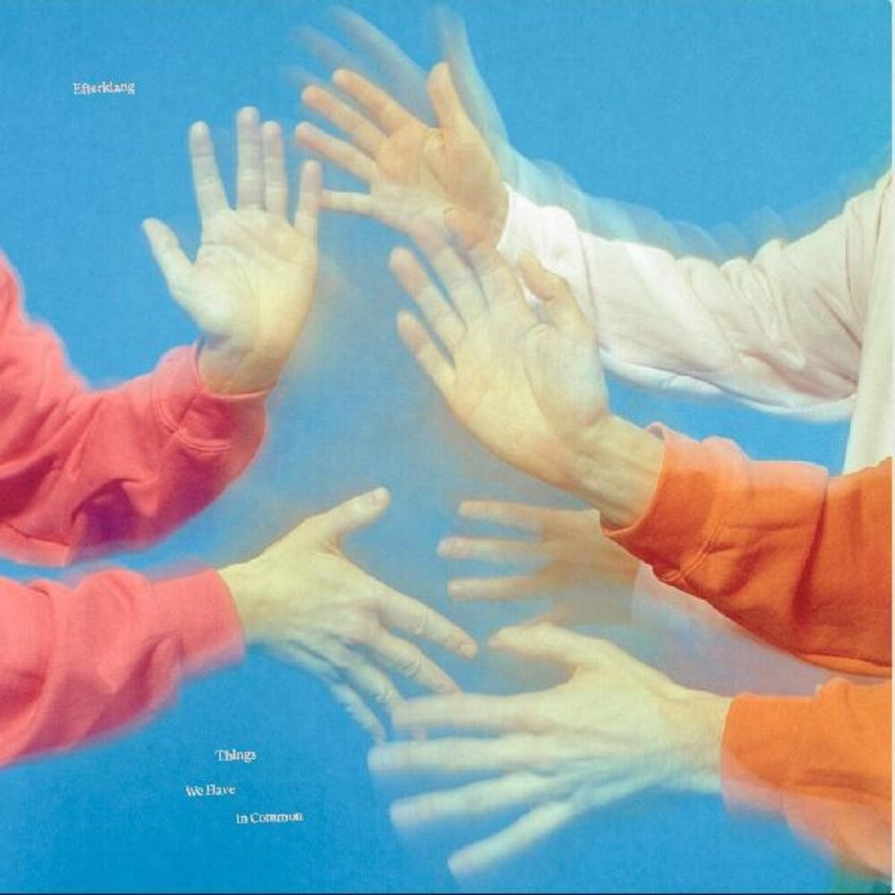 Things We Have In Common [LP]