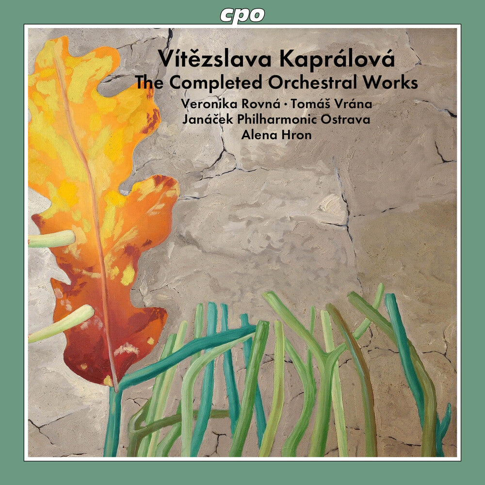 Completed Orchestral Works [CD]