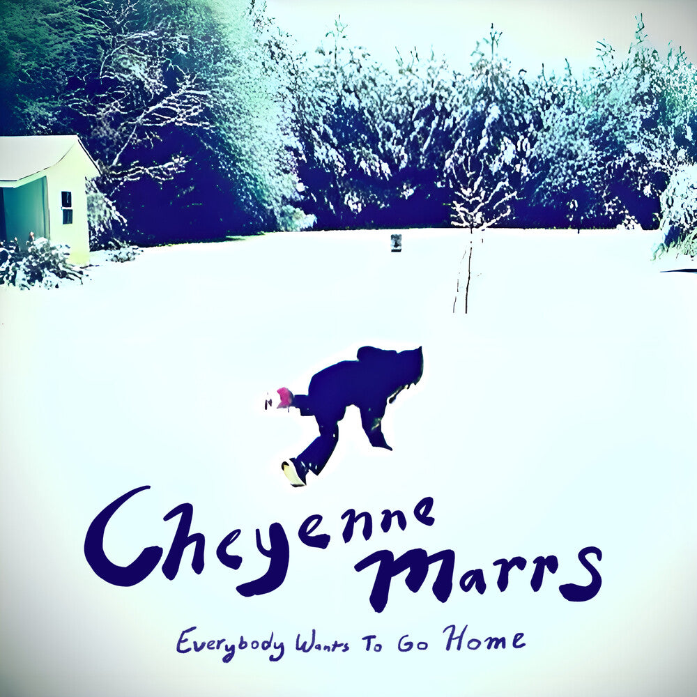Everybody Wants To Go Home [LP]