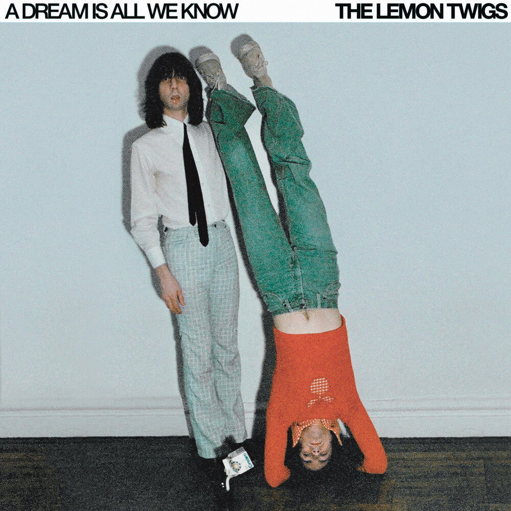 Dream Is All We Know [LP]