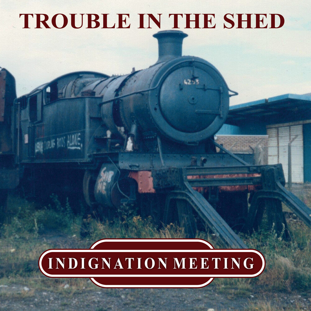 Trouble In The Shed [LP]
