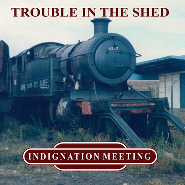 Trouble In The Shed [LP]
