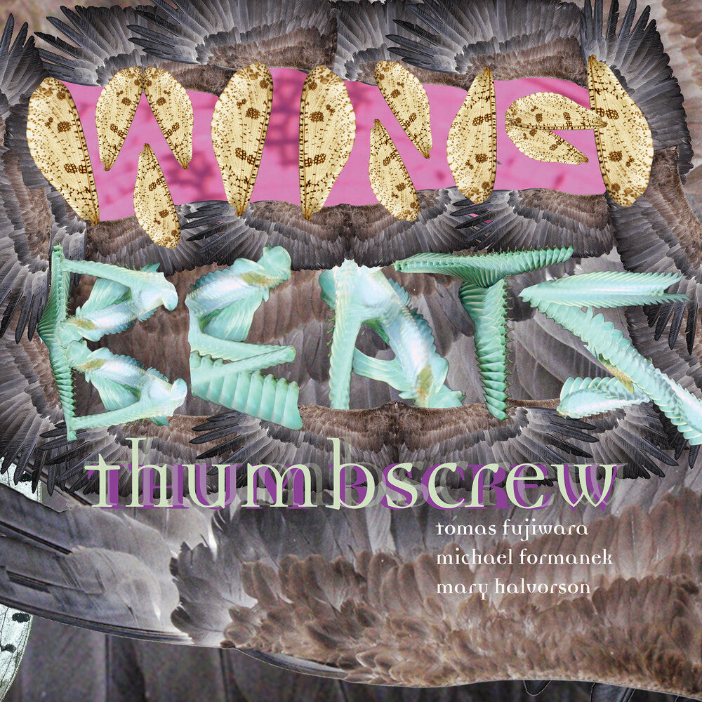 Wingbeats [CD]