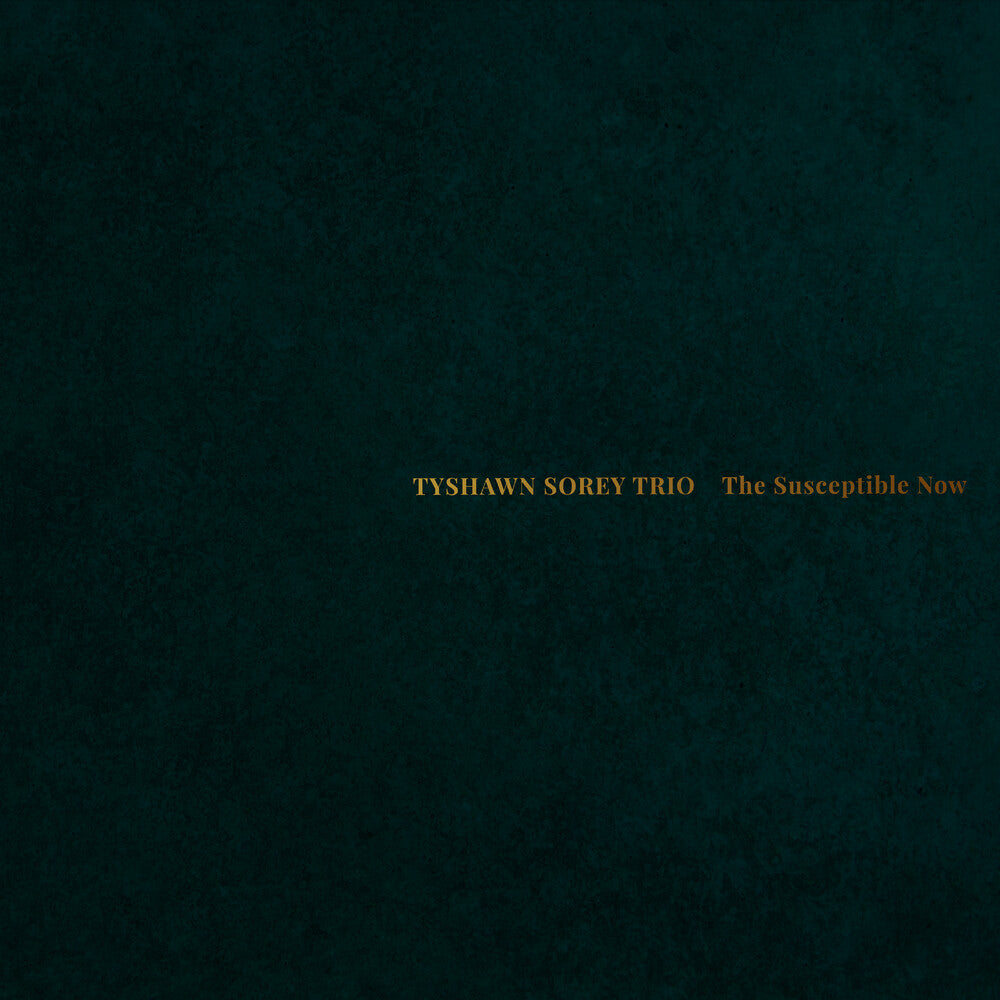 Susceptible Now [CD]