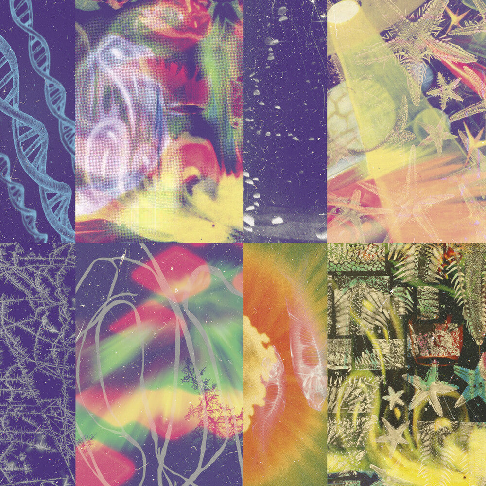 Neon Gate [LP]