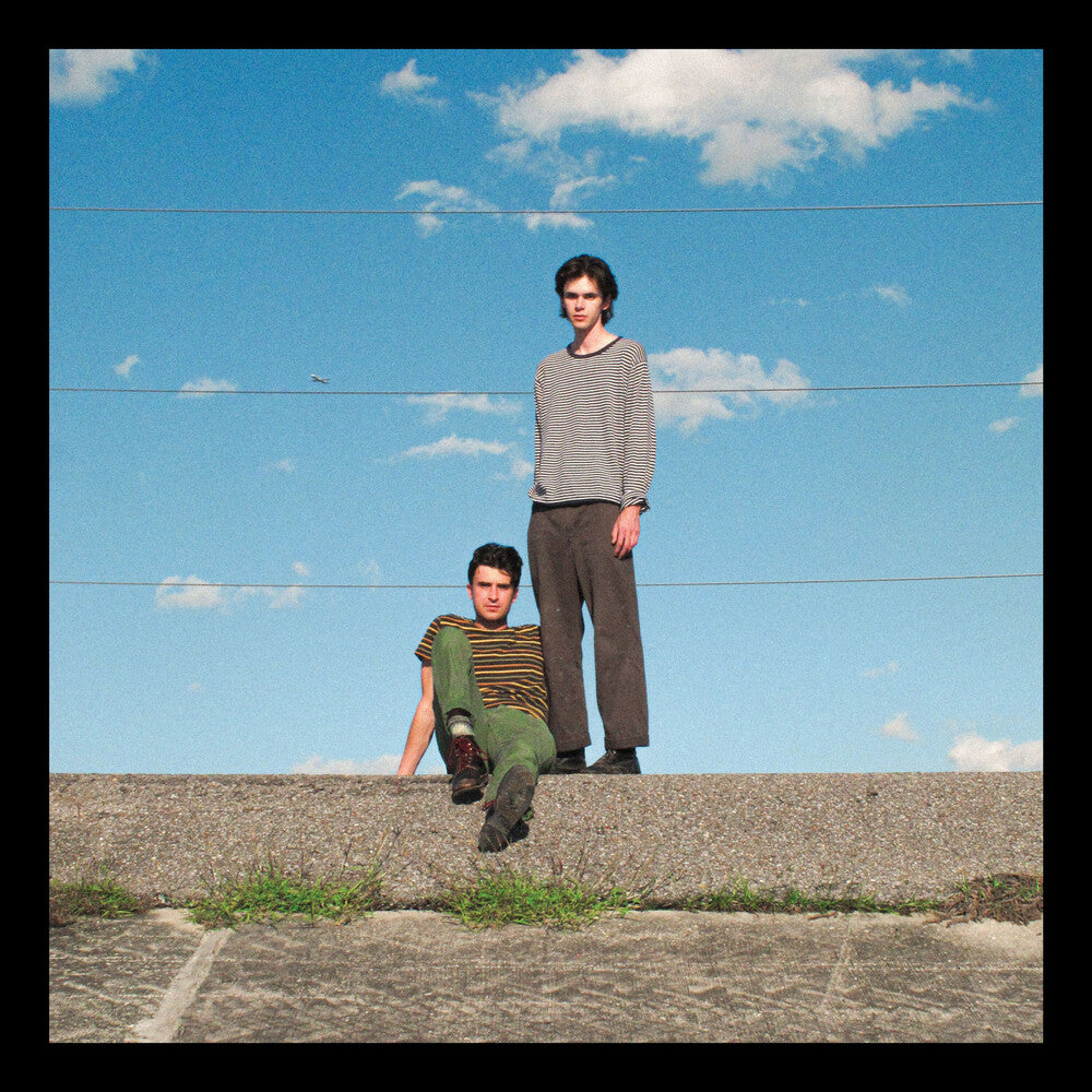 Fortune [LP]